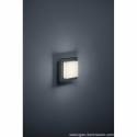 Trio Hondo outdoor wall lamp LED 4w anthracite