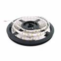 Tira LED 5mts 4.8w 60 LEDS/M 12VDC IP65 - Maslighting