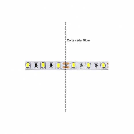 Tira LED 5mts 4.8w 60 LEDS/M 12VDC IP65 - Maslighting