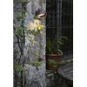 Aplique de pared Bronx GU10 IP44 - Faro