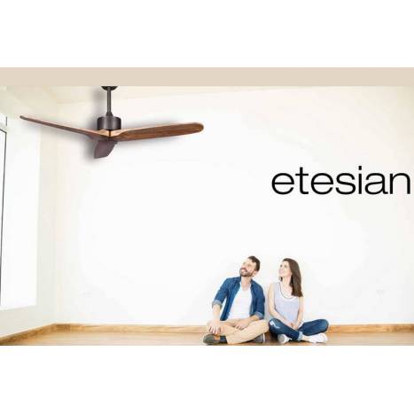 ACB Etesian AC ceiling fan wood