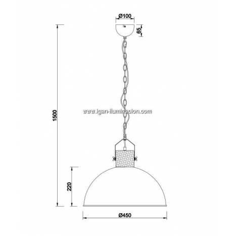 TRIO Delhi 1L E27 pendant lamp