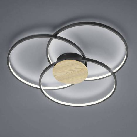 TRIO Sedona 40w LED ceiling lamp