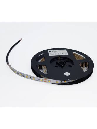 MASLIGHTING LED strip 5mts 12w 1500lm/m 24VDC IP20