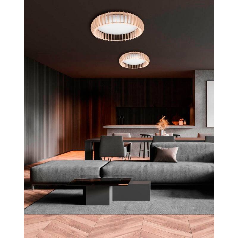 Remote controlled ceiling light discount