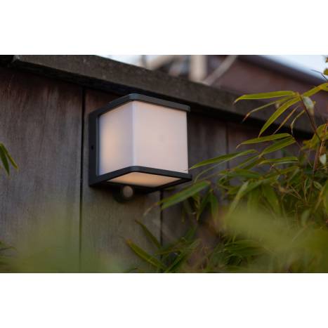 LUTEC Doblo Solar LED 8w + sensor wall lamp ambient