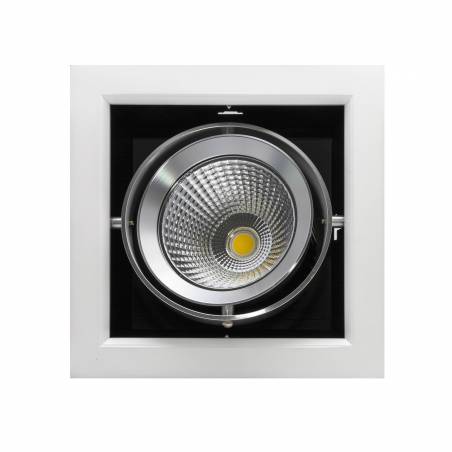 Foco empotrable Cardan LED 20w 2000lm - LDH