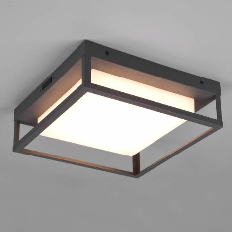 TRIO Witham LED 14w IP54 CCT ceiling lamp detail