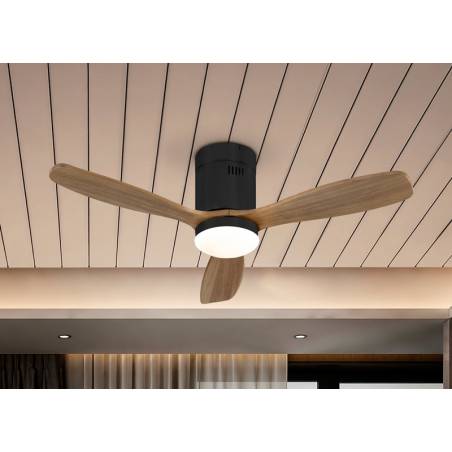 SCHULLER Siroco Mini LED DC black ceiling fan ambient