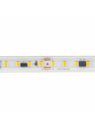 LED strip 220VAC 10W/M 120 LEDS/M IP65 1 meter