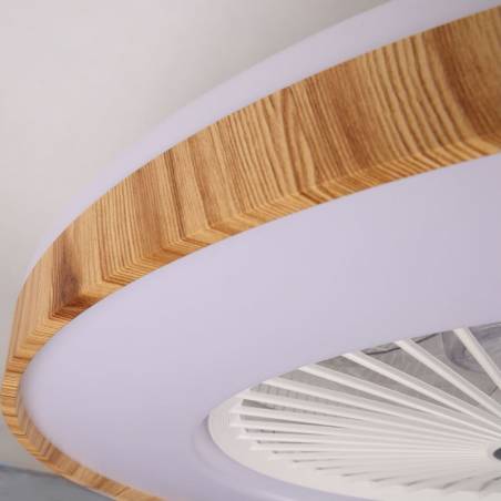 CRISTALRECORD Chama LED DC Ø59cm ceiling fan