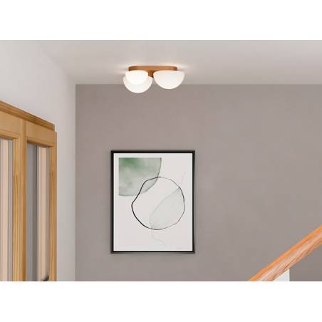 Plafón de techo Lumien LED 4L G9 - Redo