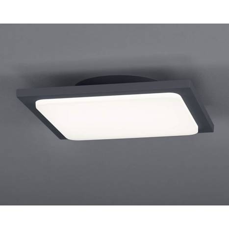 Plafón de techo Trave LED 18w IP54 - Trio