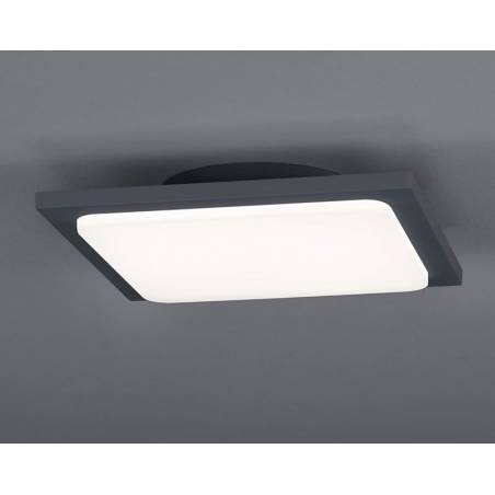 Plafón de techo Trave LED 18w IP54 - Trio