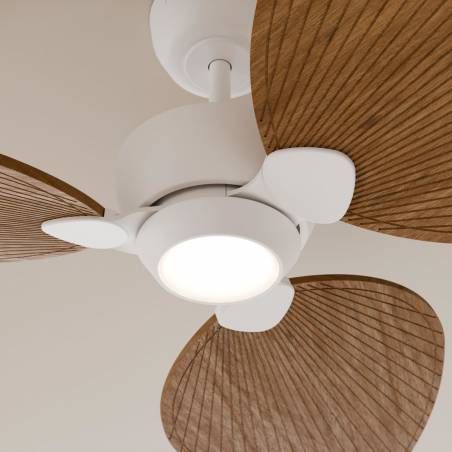 SULION Alma LED DC Ø100cm 3 blades ceiling fan white
