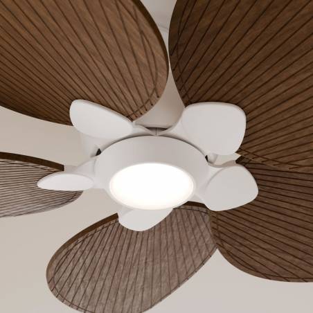 SULION Alma LED DC Ø100cm 5 blades ceiling fan white