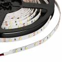 Tira LED 5mts 4.8w 60 LEDS/M 12VDC IP20 de Maslighting