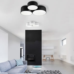 Ceiling Fixture